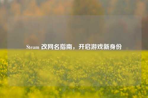 Steam 改网名指南,开启游戏新身份