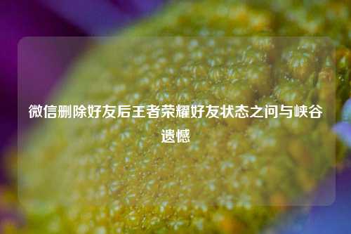 微信删除好友后王者荣耀好友状态之问与峡谷遗憾