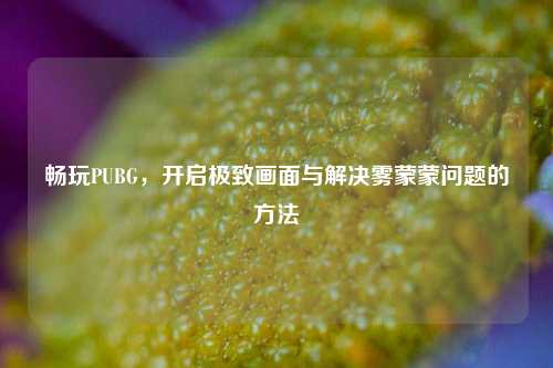 畅玩PUBG，开启极致画面与解决雾蒙蒙问题的方法