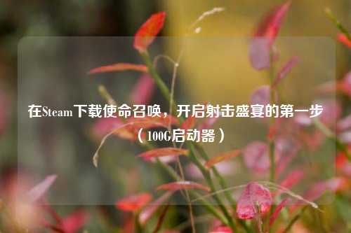 在Steam下载使命召唤,开启射击盛宴的第一步(100G启动器)