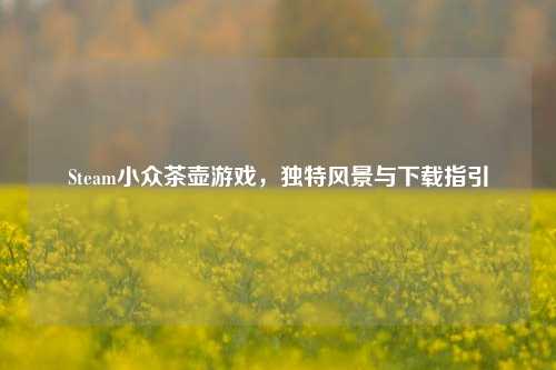 Steam小众茶壶游戏，独特风景与下载指引