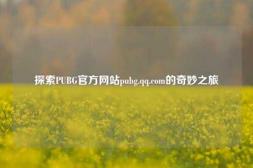 探索PUBG官方网站pubg.qq.com的奇妙之旅