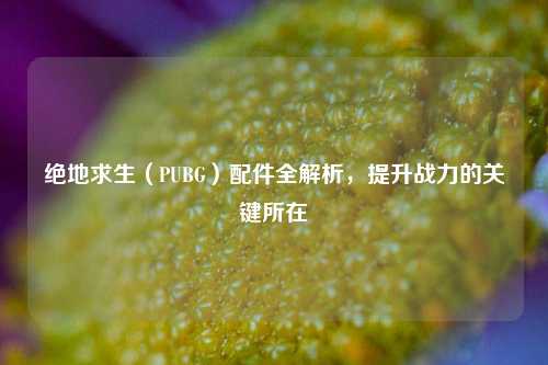 绝地求生(PUBG)配件全解析,提升战力的关键所在