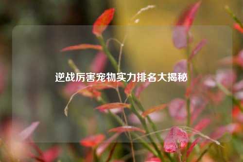 逆战厉害宠物实力排名大揭秘