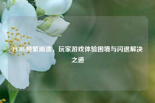 PUBG频繁崩溃,玩家游戏体验困境与闪退解决之道