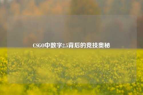 CSGO中数字2.5背后的竞技奥秘