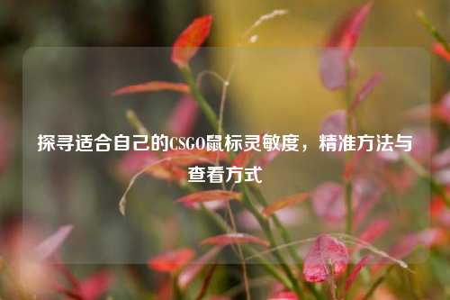 探寻适合自己的CSGO鼠标灵敏度,精准方法与查看方式