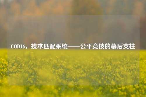 COD16，技术匹配系统——公平竞技的幕后支柱