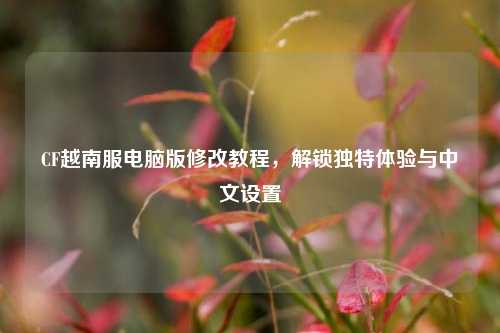 CF越南服电脑版修改教程,解锁独特体验与中文设置