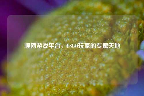 顺网游戏平台，CSGO玩家的专属天地