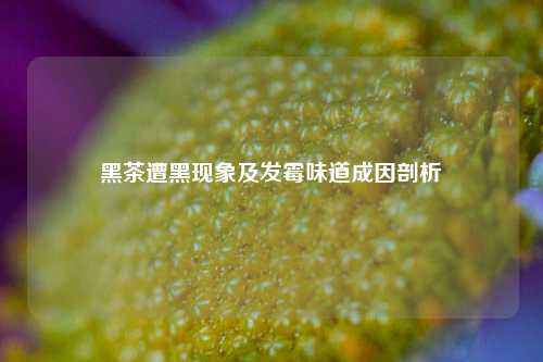 黑茶遭黑现象及发霉味道成因剖析