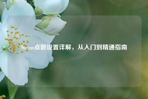 Steam点数设置详解，从入门到精通指南