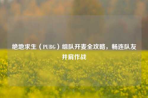 绝地求生(PUBG)组队开麦全攻略,畅连队友并肩作战