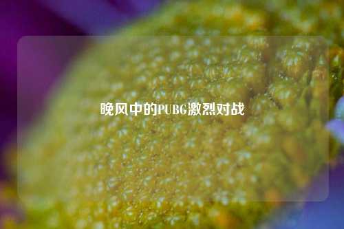 晚风中的PUBG激烈对战