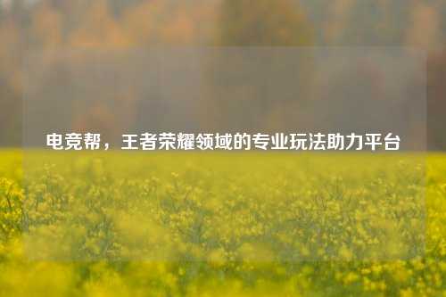 电竞帮,王者荣耀领域的专业玩法助力平台