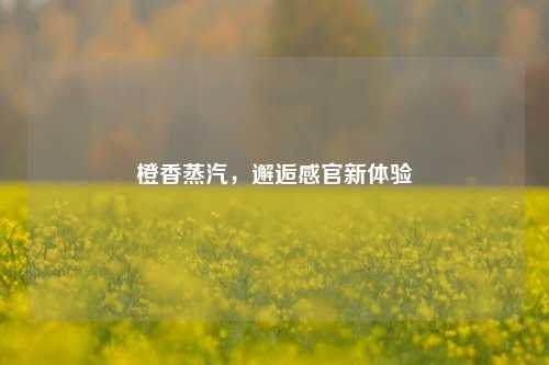橙香蒸汽,邂逅感官新体验