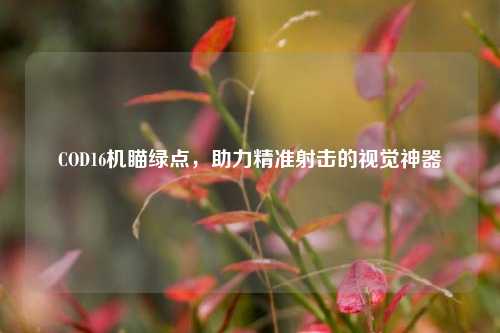 COD16机瞄绿点,助力精准射击的视觉神器