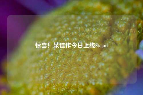 惊喜!某佳作今日上线Steam