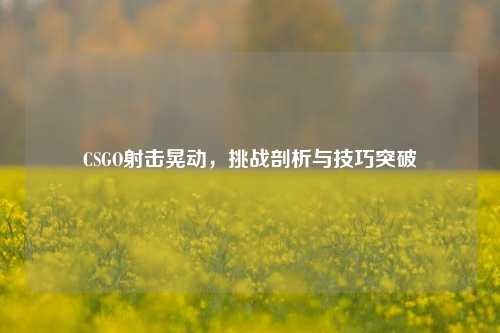 CSGO射击晃动,挑战剖析与技巧突破