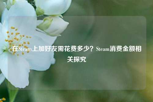 在Steam上加好友需花费多少?Steam消费金额相关探究