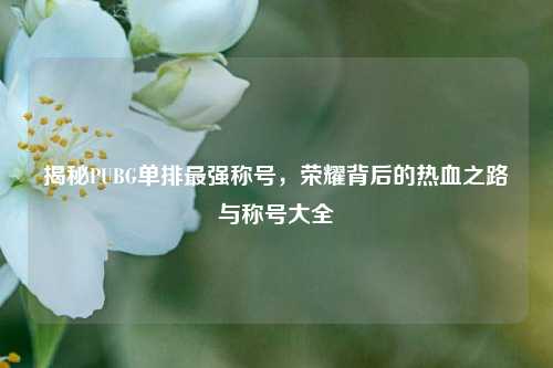 揭秘PUBG单排最强称号，荣耀背后的热血之路与称号大全