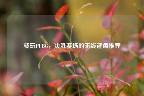 畅玩PUBG,决胜赛场的无线键盘推荐