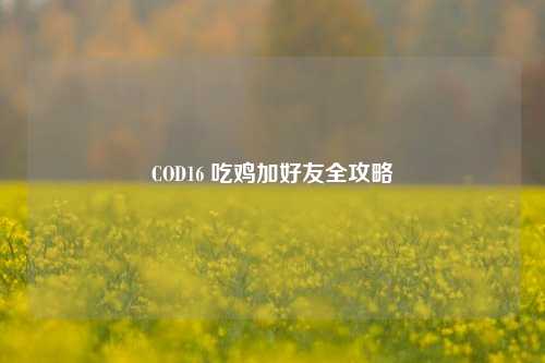 COD16 吃鸡加好友全攻略