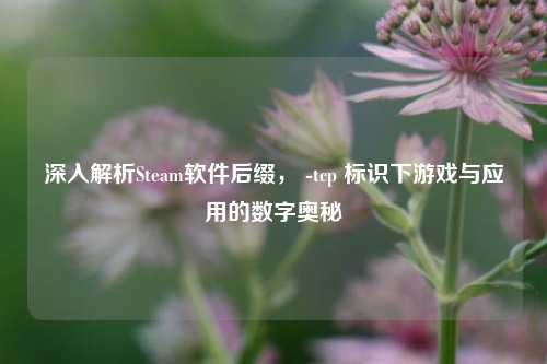 深入解析Steam软件后缀, -tcp 标识下游戏与应用的数字奥秘