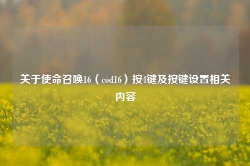 关于使命召唤16(cod16)按4键及按键设置相关内容