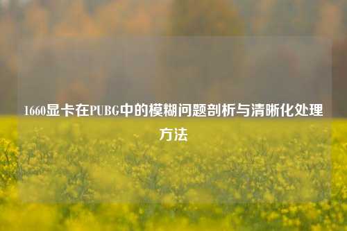 1660显卡在PUBG中的模糊问题剖析与清晰化处理方法