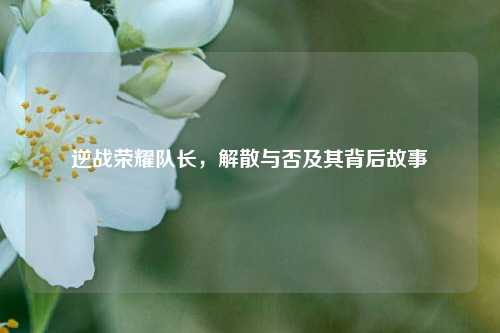 逆战荣耀队长,解散与否及其背后故事