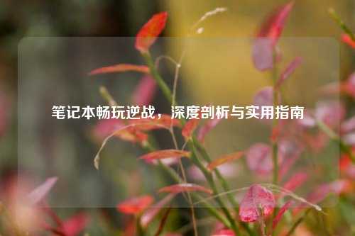 笔记本畅玩逆战，深度剖析与实用指南