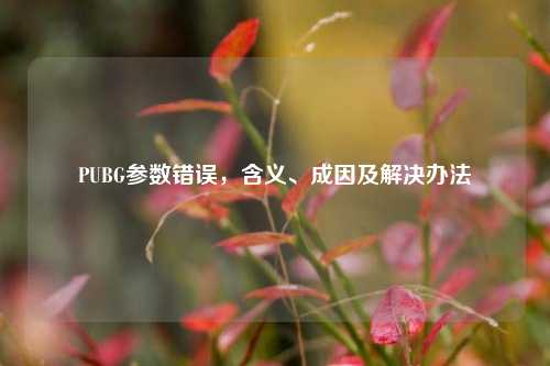 PUBG参数错误,含义、成因及解决办法