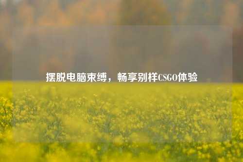 摆脱电脑束缚,畅享别样CSGO体验