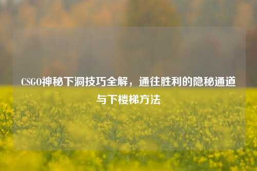 CSGO神秘下洞技巧全解,通往胜利的隐秘通道与下楼梯方法