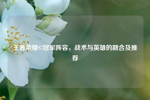 王者荣耀S7冠军阵容,战术与英雄的融合及推荐