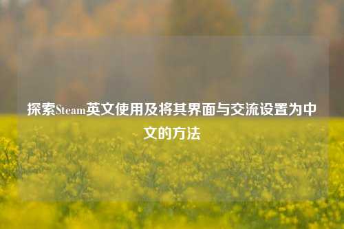 探索Steam英文使用及将其界面与交流设置为中文的方法