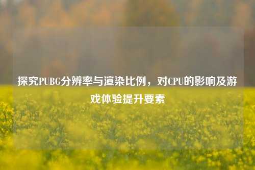 探究PUBG分辨率与渲染比例，对CPU的影响及游戏体验提升要素