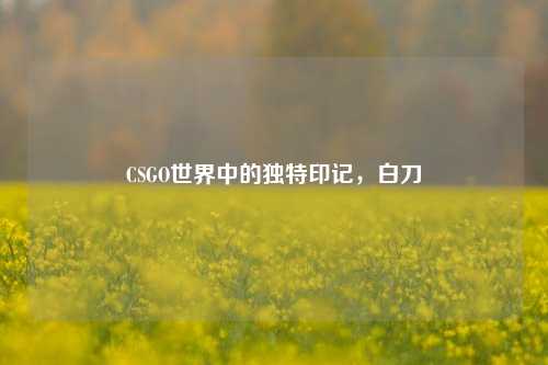 CSGO世界中的独特印记，白刀