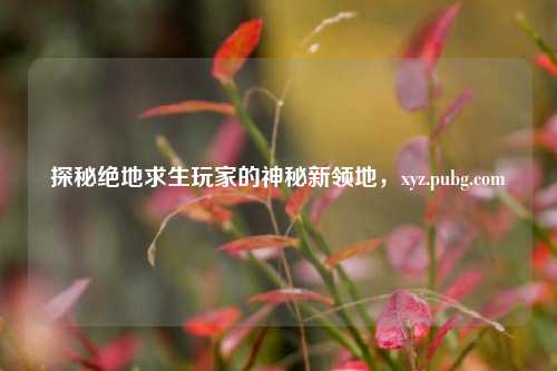 探秘绝地求生玩家的神秘新领地,xyz.pubg.com