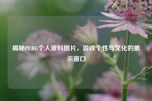 揭秘PUBG个人资料图片，游戏个性与文化的展示窗口