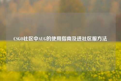 CSGO社区中AUG的使用指南及进社区服方法