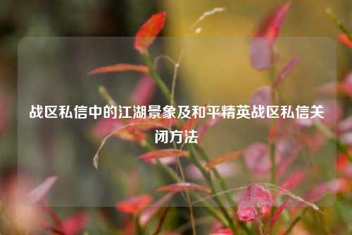 战区私信中的江湖景象及和平精英战区私信关闭方法