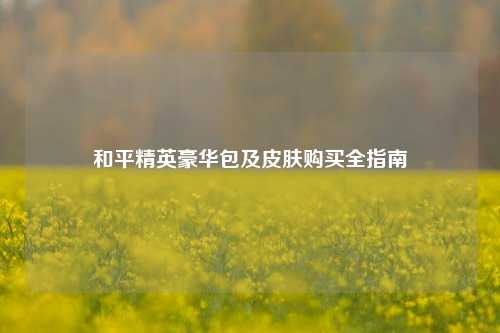 和平精英豪华包及皮肤购买全指南