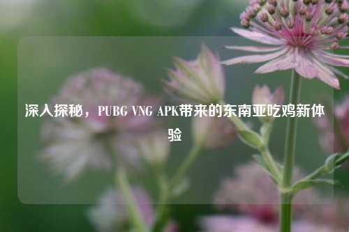 深入探秘,PUBG VNG APK带来的东南亚吃鸡新体验
