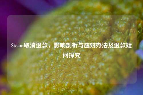 Steam取消退款,影响剖析与应对办法及退款疑问探究