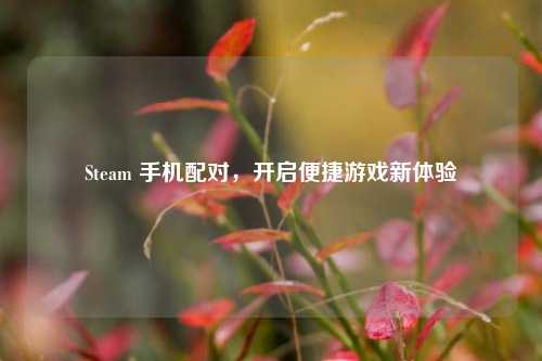 Steam 手机配对,开启便捷游戏新体验