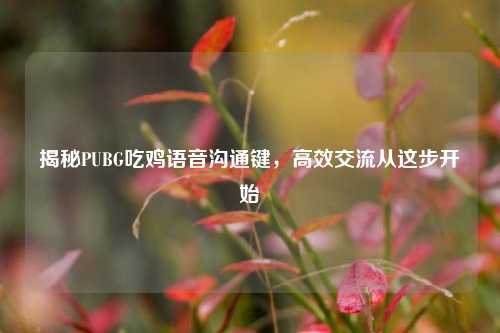 揭秘PUBG吃鸡语音沟通键,高效交流从这步开始