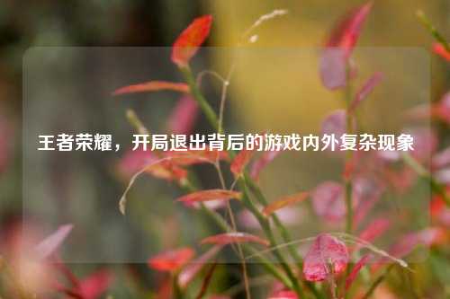 王者荣耀,开局退出背后的游戏内外复杂现象