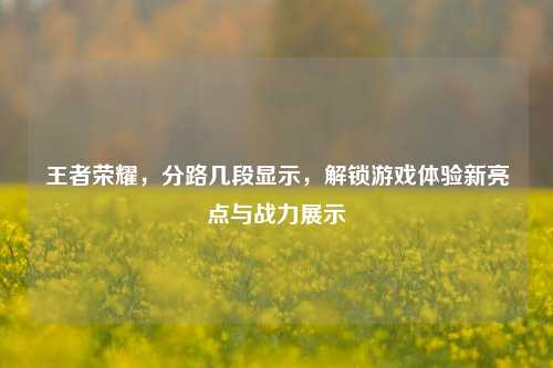王者荣耀,分路几段显示,解锁游戏体验新亮点与战力展示
